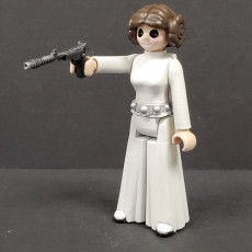 Picture of print of Princess Leia