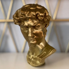 Picture of print of Head of Michelangelo's David Cet objet imprimé a été téléchargé par Manny
