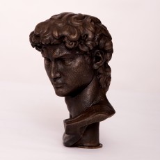 Picture of print of Head of Michelangelo's David This print has been uploaded by 3DLirious