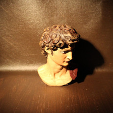 Picture of print of Head of Michelangelo's David This print has been uploaded by Creative Journeys