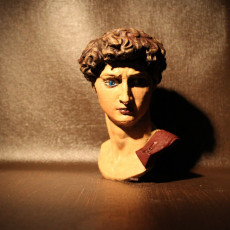Picture of print of Head of Michelangelo's David This print has been uploaded by Creative Journeys