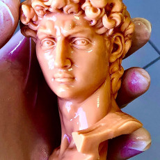 Picture of print of Head of Michelangelo's David