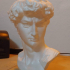 Head of Michelangelo's David print image