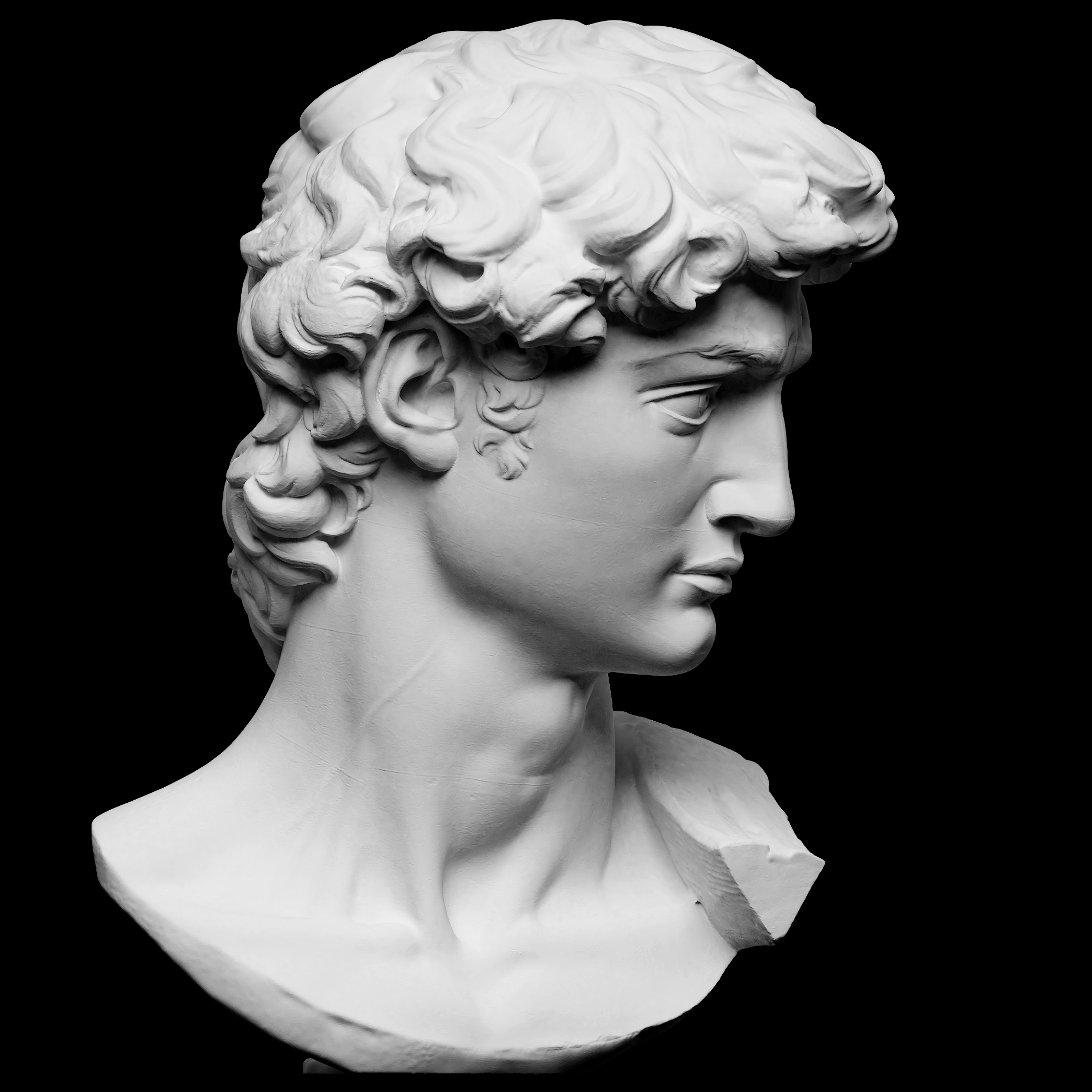 Head of Michelangelo's David