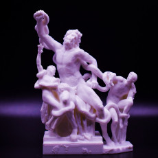 Picture of print of Laocoon and His Sons This print has been uploaded by Griffin Reed