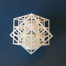 Picture of print of Spun Lattice Cube (Torture Test)