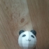 panda head image