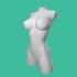 Woman torso nude image