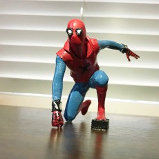 Spider-man Homemade Suit
