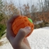 Pumpkin Bomb-Spiderman 3 image