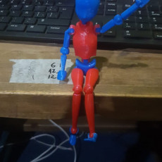 Picture of print of Fully Articulated Artist's Mannequin