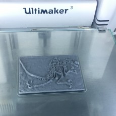 Picture of print of Velociraptor Miniature Fossil with Openlock