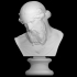 Bust of Dionysus, Priapus, Plato or Poseidon image