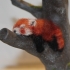 Red Panda Tree print image