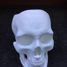Picture of print of Skull Pot This print has been uploaded by NotQuiteHere