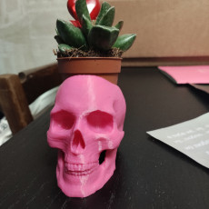 Picture of print of Skull Pot This print has been uploaded by Артем Варзонов