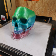 Picture of print of Skull Pot This print has been uploaded by Trevor L