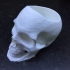 Skull Pot print image