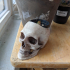 Skull Pot print image