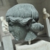 Head of a Youth image