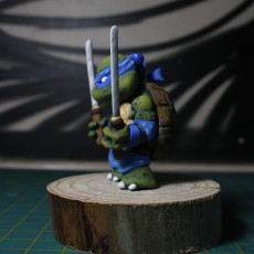 Picture of print of Chibi mutant ninja Turtles! LEO!