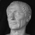 Farnese Caesar image