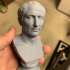 Farnese Caesar print image