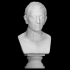 Bust of Julius Caesar image