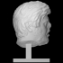 Unknown bust image