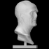 Bust of Marius image