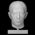 Brutus Rondanini image