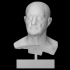 Bust of a Roman man image