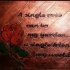 The Rose Plaque image