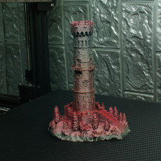 Picture of print of Miniature Lookout Tower