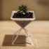 Pyramid - Flower Pot print image