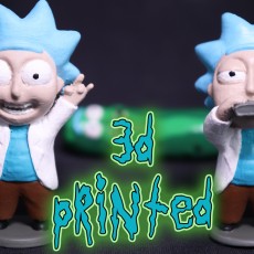Picture of print of Tiny Rick! - 3D files This print has been uploaded by Sean Aranda