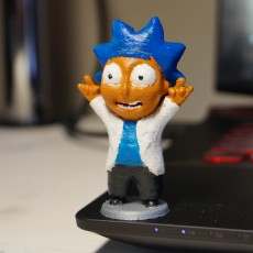 Picture of print of Tiny Rick! - 3D files