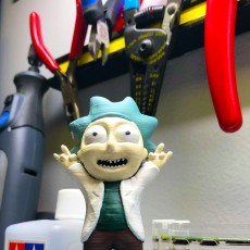 Picture of print of Tiny Rick! - 3D files This print has been uploaded by rafael