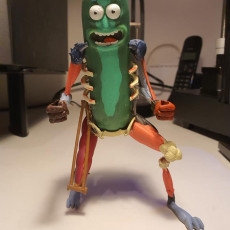 Picture of print of Pickle Rick This print has been uploaded by Michael Tsukerman