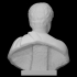 Bust of a man image