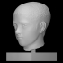 Head of a boy image