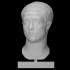 Portrait of a Gallic man image