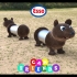 Can Friends - Hamster Childrens Toy image