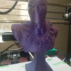Picture of print of BLACK PANTHER BUST This print has been uploaded by Brian O