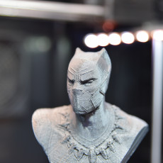Picture of print of BLACK PANTHER BUST