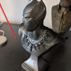 Picture of print of BLACK PANTHER BUST This print has been uploaded by Ian Mclein