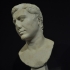 Portrait of a Roman man image
