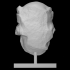 Head of a King image