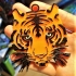 tigre multi-couleur image