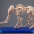Mammoth Fossil image